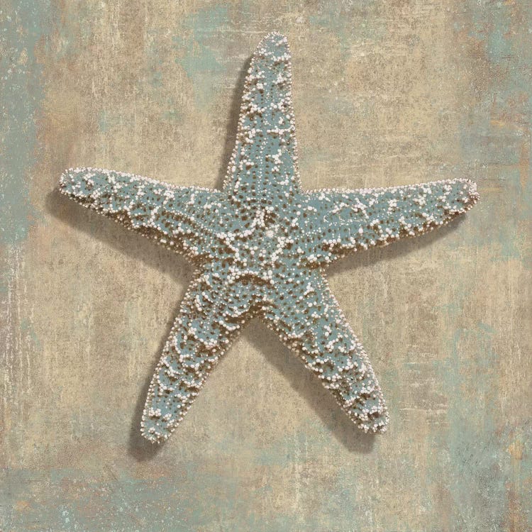 Aqua Starfish by Caroline Kelly wall art