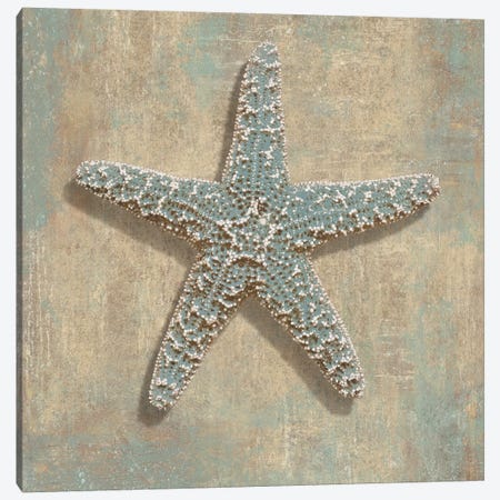 Aqua Starfish Canvas Print #KEL6} by Caroline Kelly Canvas Wall Art