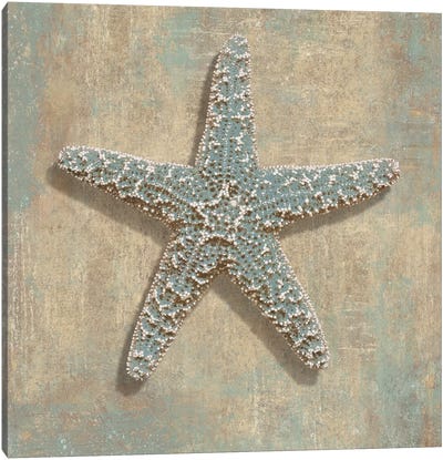 Aqua Starfish Canvas Art Print - Sea Life Art