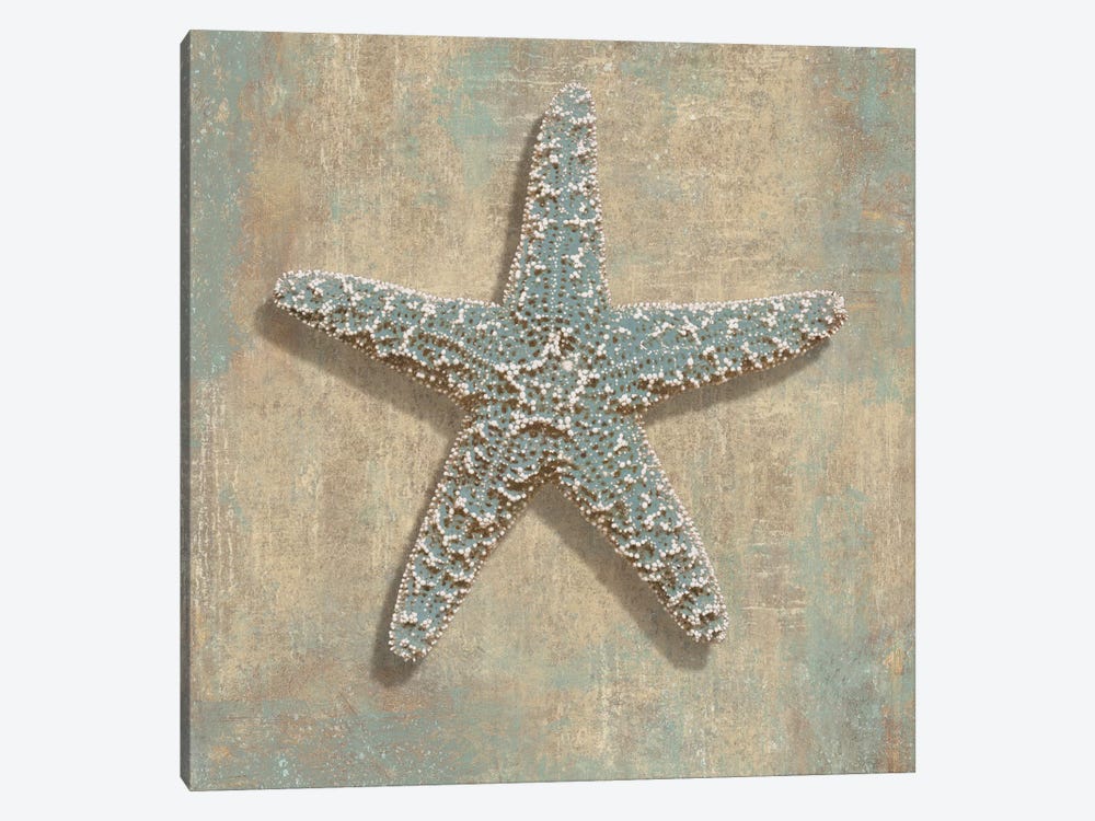 Aqua Starfish by Caroline Kelly 1-piece Canvas Art