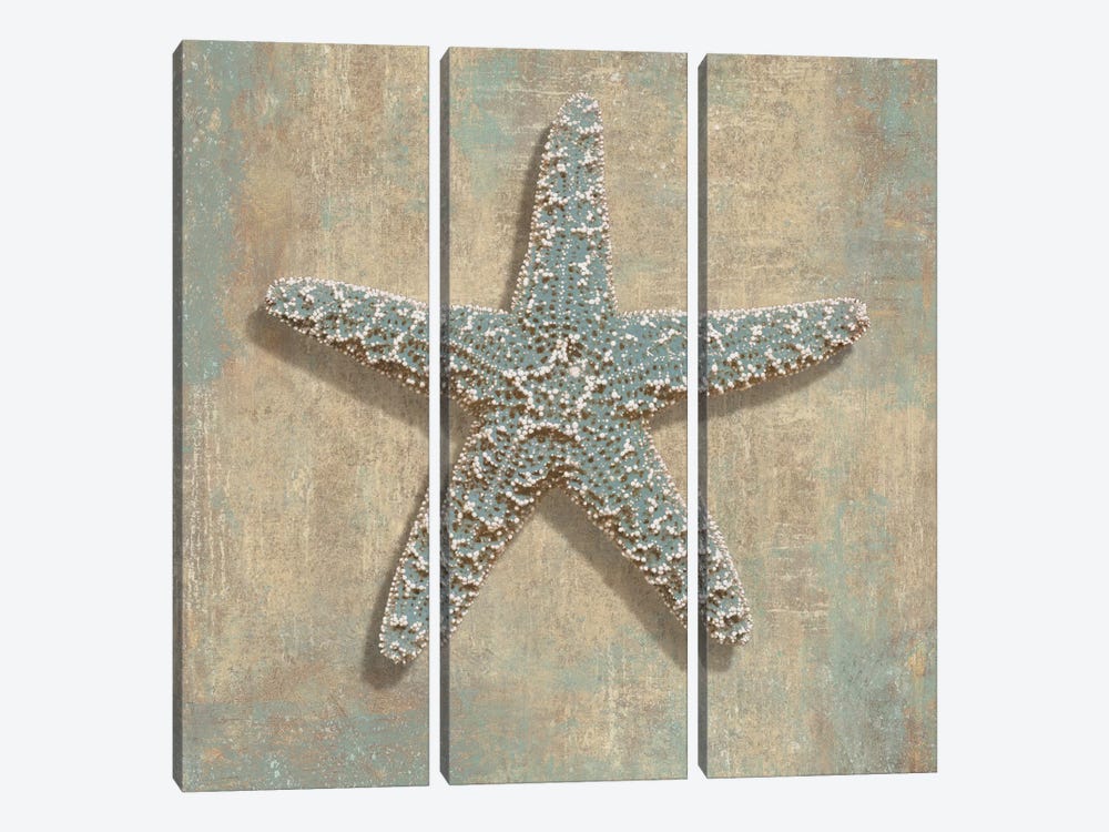 Aqua Starfish by Caroline Kelly 3-piece Canvas Art