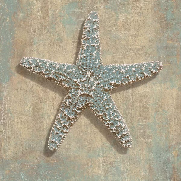 Caroline Kelly: Aqua Starfish by Caroline Kelly