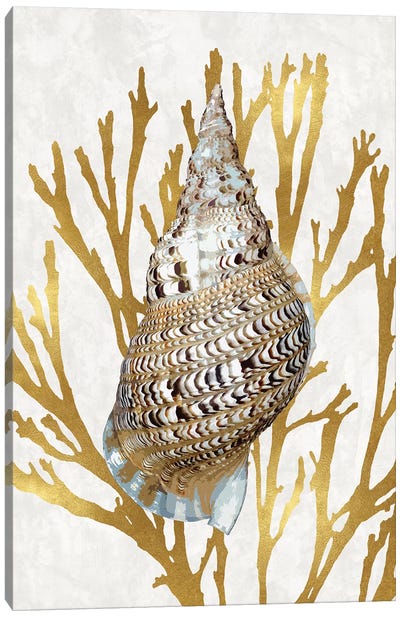 Shell Coral Gold I Canvas Art Print - Caroline Kelly