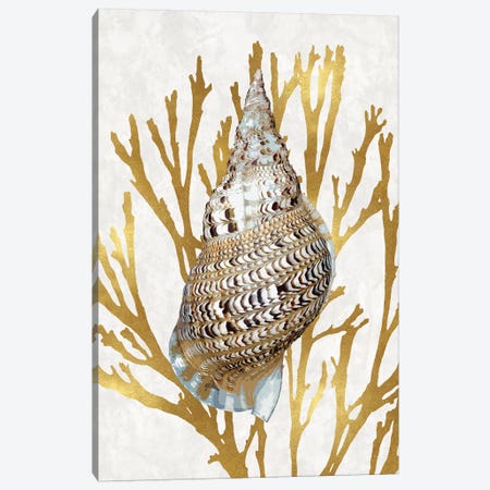 Shell Coral Gold I Canvas Print #KEL70} by Caroline Kelly Canvas Print