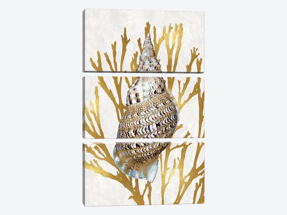 Shell Coral Gold I by Caroline Kelly 3-piece Canvas Art Print