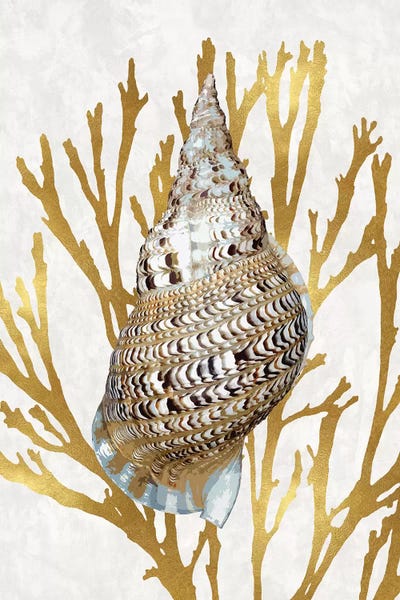 Caroline Kelly: Shell Coral Gold I by Caroline Kelly