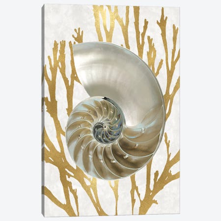 Shell Coral Gold II Canvas Print #KEL71} by Caroline Kelly Canvas Print