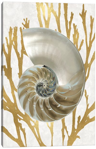 Shell Coral Gold II Canvas Art Print - Coral Art
