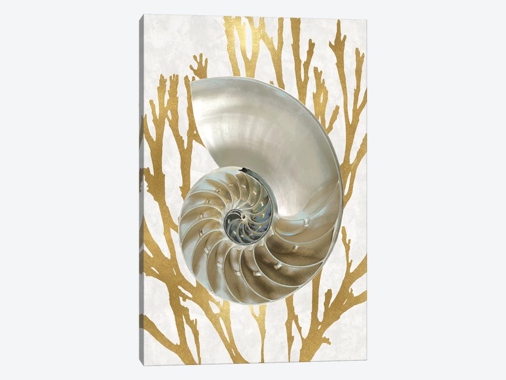 Shell Coral Gold II by Caroline Kelly 1-piece Canvas Wall Art