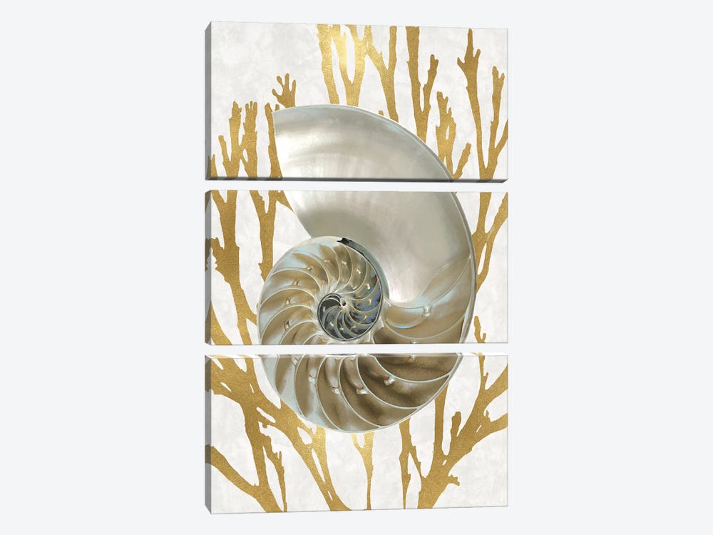 Shell Coral Gold II by Caroline Kelly 3-piece Canvas Art