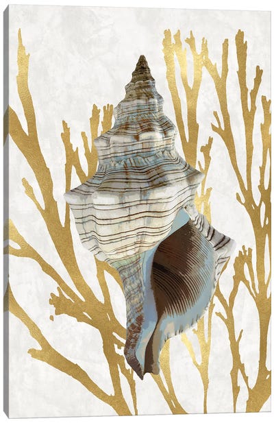 Shell Coral Gold III Canvas Art Print - Coral Art