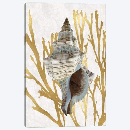 Shell Coral Gold III Canvas Print #KEL72} by Caroline Kelly Canvas Art Print