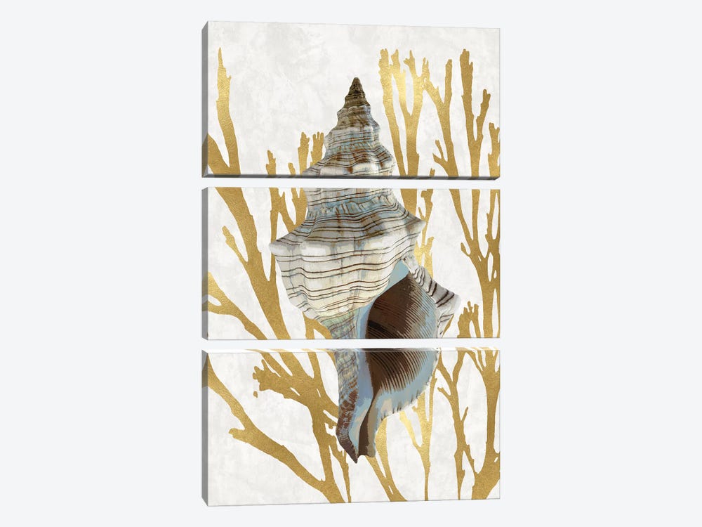 Shell Coral Gold III 3-piece Canvas Art Print