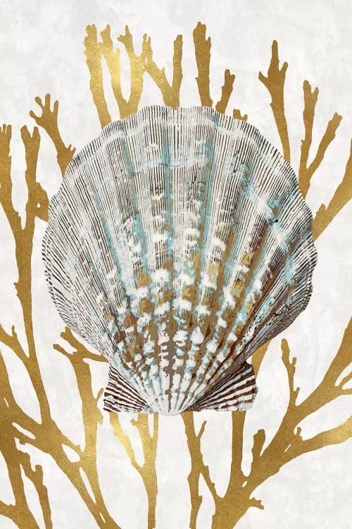 Shell Coral Gold IV