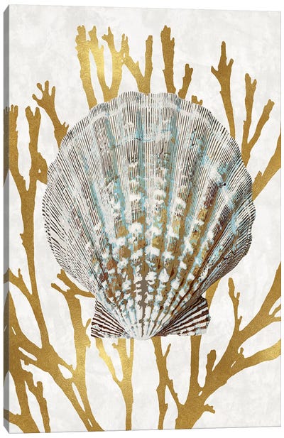 Shell Coral Gold IV Canvas Art Print - Caroline Kelly