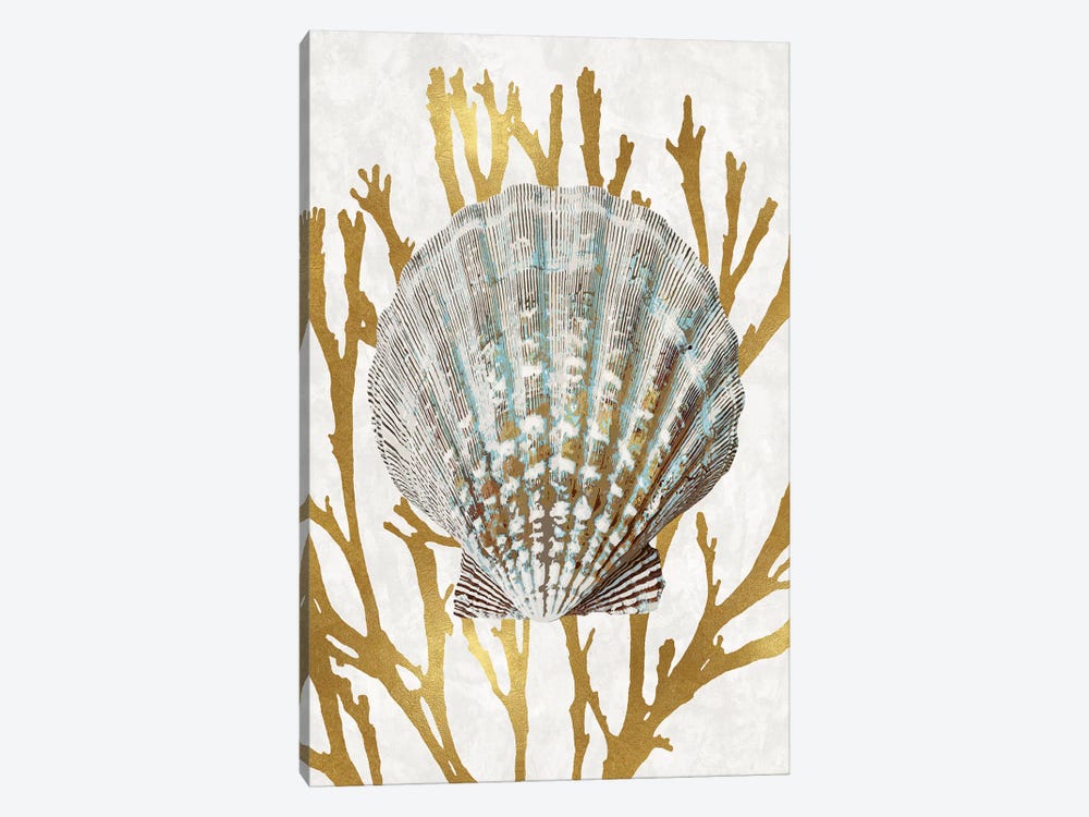 Shell Coral Gold IV by Caroline Kelly 1-piece Canvas Wall Art