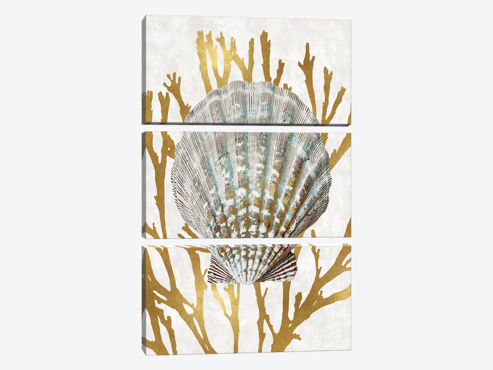 Shell Coral Gold IV by Caroline Kelly 3-piece Canvas Wall Art
