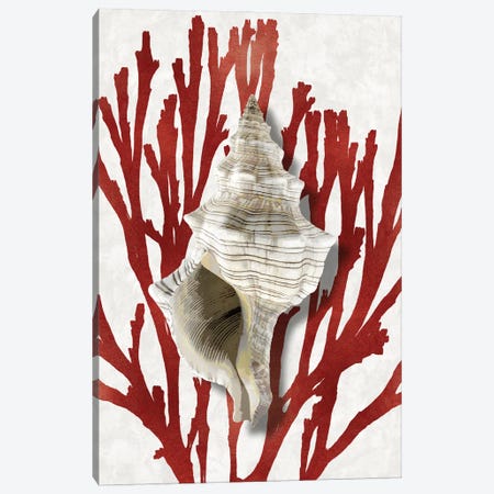 Shell Coral Red III Canvas Print #KEL76} by Caroline Kelly Canvas Wall Art