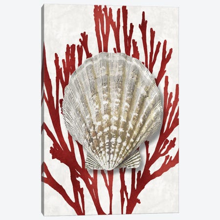 Shell Coral Red IV Canvas Print #KEL77} by Caroline Kelly Canvas Art