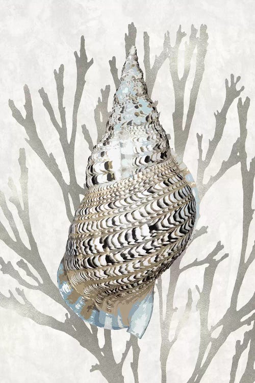 Shell Coral Silver I by Caroline Kelly wall art