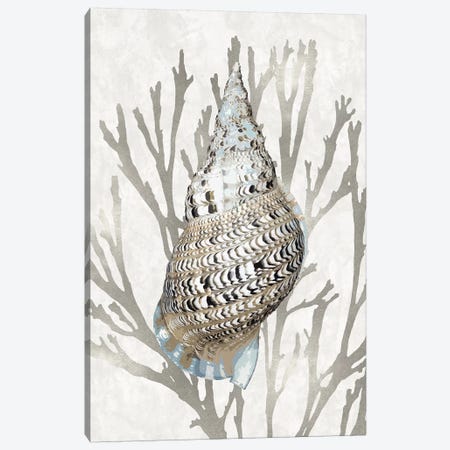 Shell Coral Silver I Canvas Print #KEL78} by Caroline Kelly Canvas Art Print