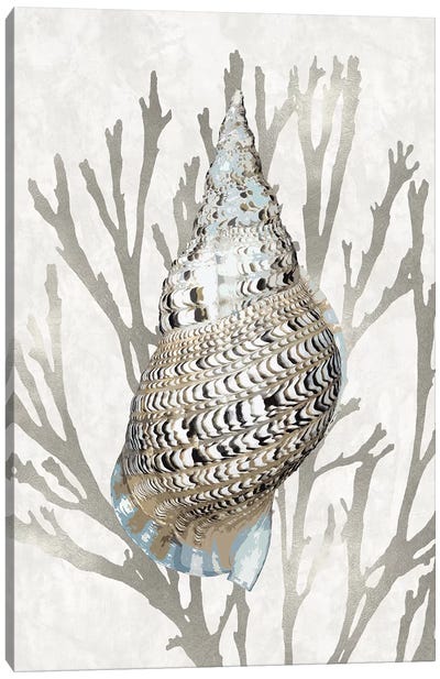 Shell Coral Silver I Canvas Art Print - Sea Shell Art