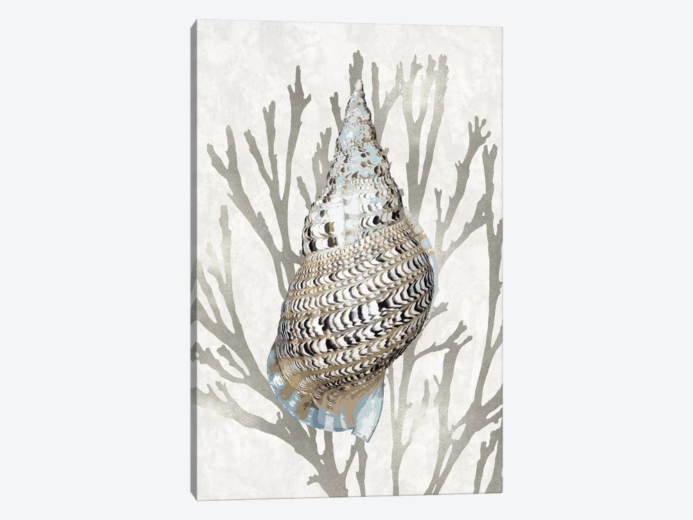 Shell Coral Silver I by Caroline Kelly 1-piece Canvas Art Print