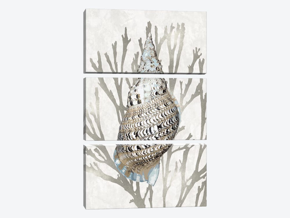 Shell Coral Silver I by Caroline Kelly 3-piece Art Print
