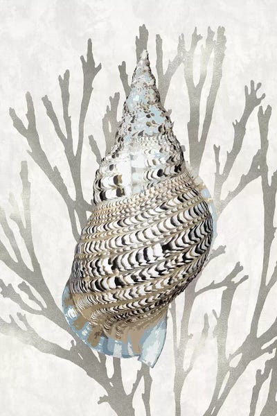 Caroline Kelly: Shell Coral Silver I by Caroline Kelly