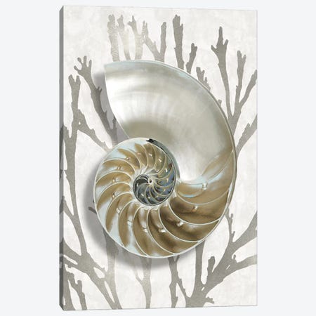 Shell Coral Silver II Canvas Print #KEL79} by Caroline Kelly Canvas Art Print