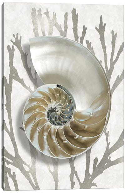 Shell Coral Silver II Canvas Art Print - Coral Art
