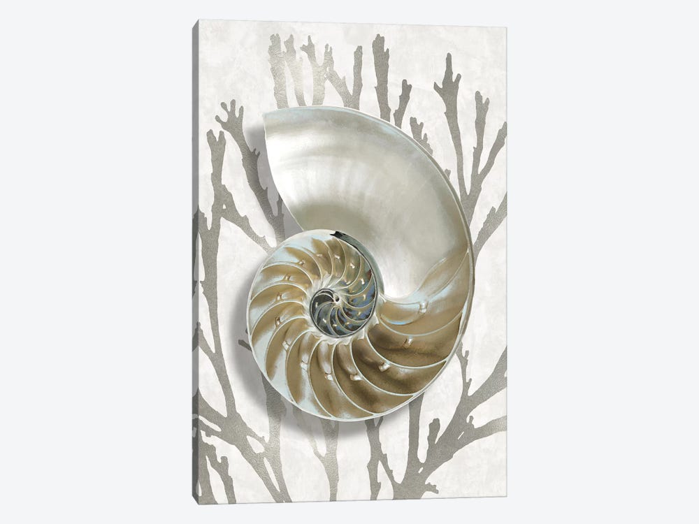Shell Coral Silver II by Caroline Kelly 1-piece Canvas Artwork