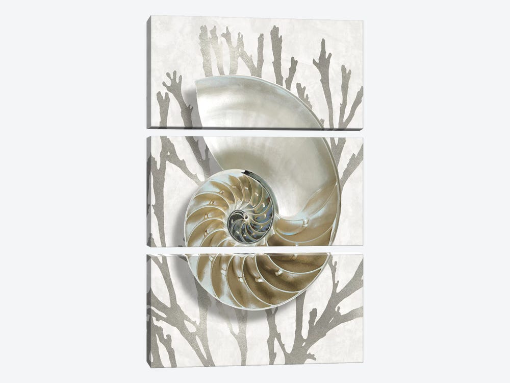 Shell Coral Silver II by Caroline Kelly 3-piece Canvas Artwork