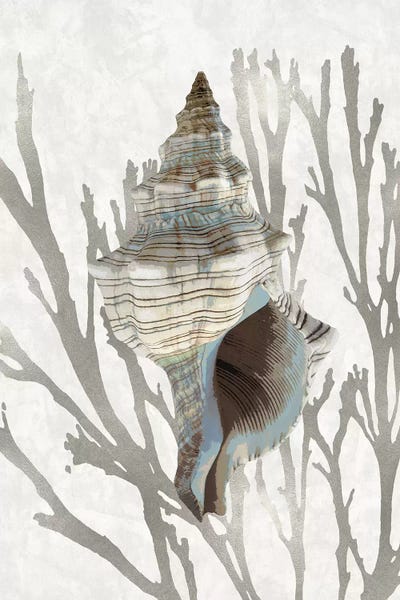Nature Close-Ups: Shell Coral Silver III by Caroline Kelly