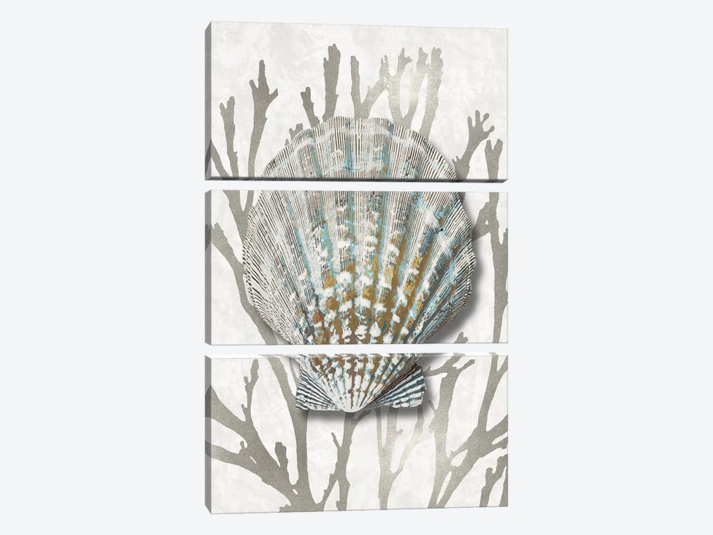 Shell Coral Silver IV by Caroline Kelly 3-piece Canvas Print