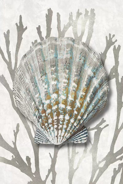 Shell Coral Silver IV