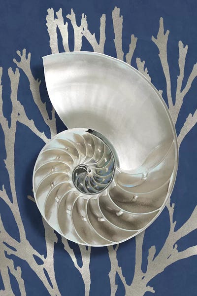 Shell Coral Silver on Blue II by Caroline Kelly framed canvas print