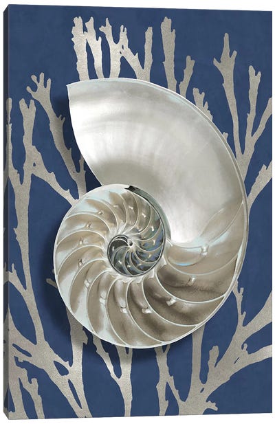 Shell Coral Silver on Blue II Canvas Art Print - Sea Shell Art