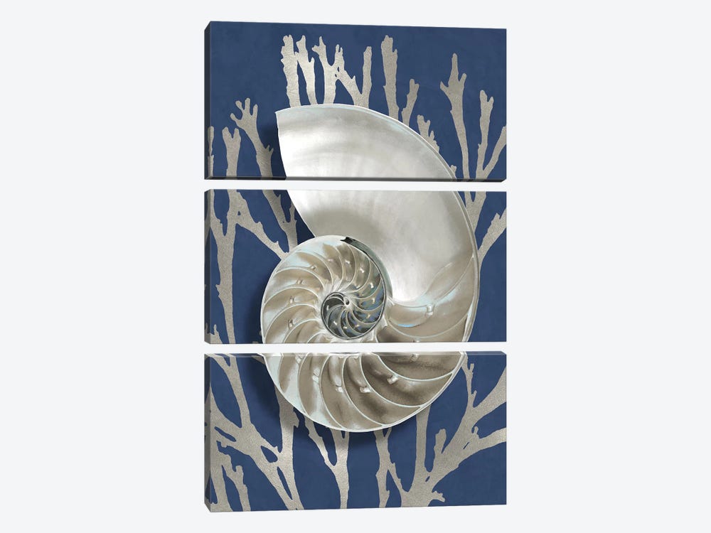 Shell Coral Silver on Blue II by Caroline Kelly 3-piece Canvas Print