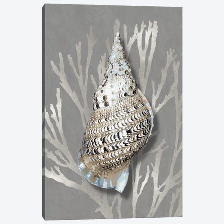 Shell Coral Silver on Gray I Canvas Print #KEL86} by Caroline Kelly Canvas Print