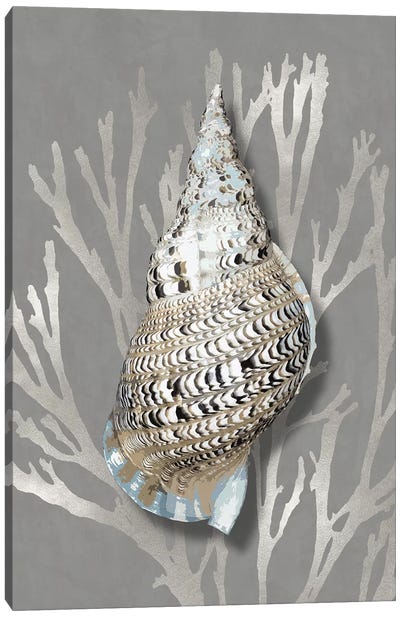 Shell Coral Silver on Gray I Canvas Art Print - Sea Shell Art