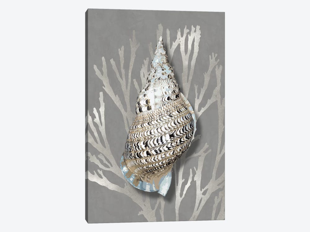 Shell Coral Silver on Gray I by Caroline Kelly 1-piece Canvas Wall Art