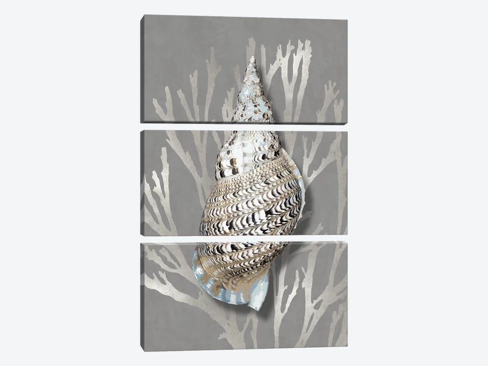 Shell Coral Silver on Gray I by Caroline Kelly 3-piece Canvas Art