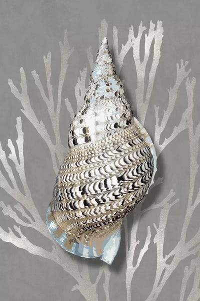 Caroline Kelly: Shell Coral Silver on Gray I by Caroline Kelly