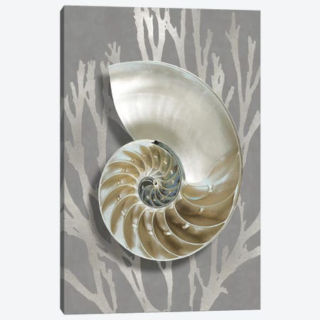 Shell Coral Silver on Gray II Canvas Print #KEL87} by Caroline Kelly Canvas Print