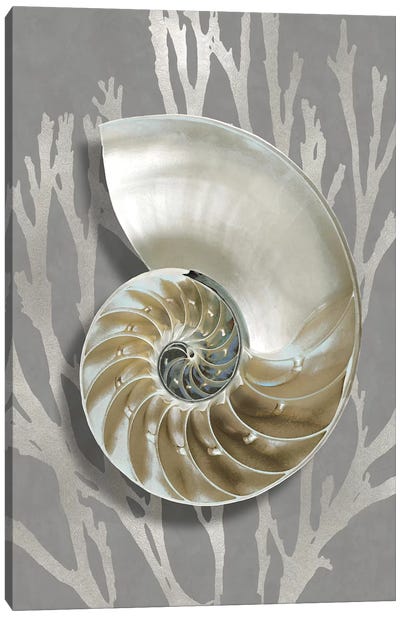 Shell Coral Silver on Gray II Canvas Art Print - Sea Shell Art
