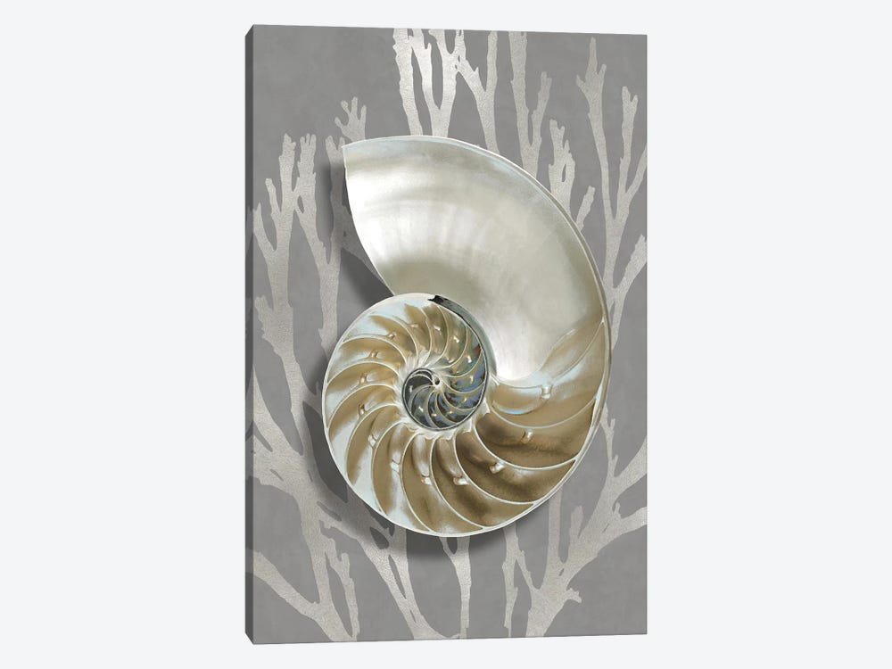 Shell Coral Silver on Gray II by Caroline Kelly 1-piece Art Print
