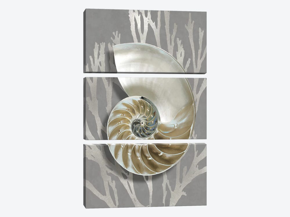 Shell Coral Silver on Gray II by Caroline Kelly 3-piece Canvas Art Print
