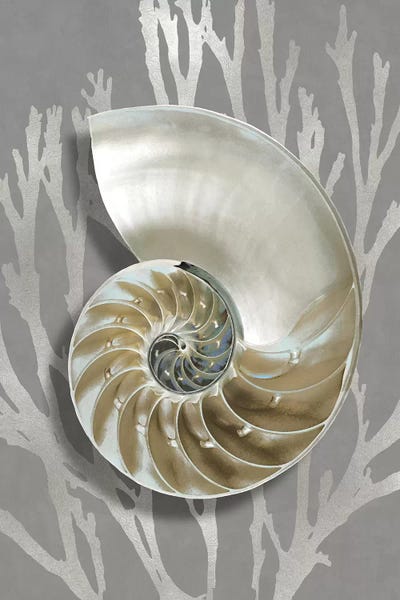 Caroline Kelly: Shell Coral Silver on Gray II by Caroline Kelly