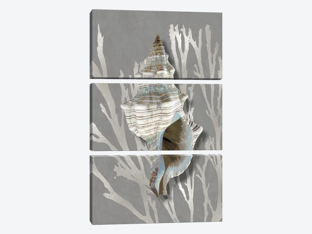 Shell Coral Silver on Gray III by Caroline Kelly 3-piece Canvas Art